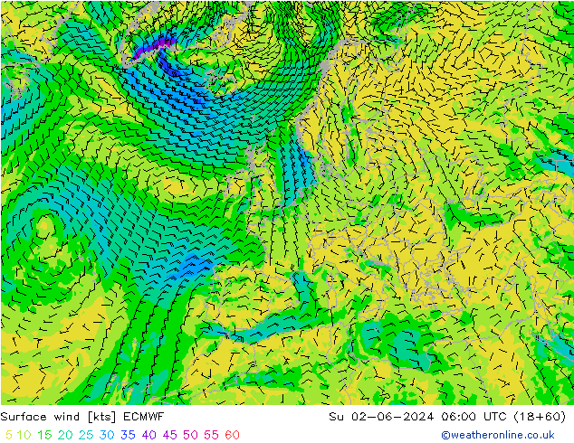 Vent 10 m ECMWF dim 02.06.2024 06 UTC