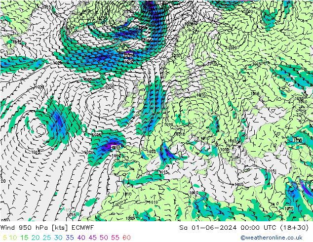 Wind 950 hPa ECMWF So 01.06.2024 00 UTC