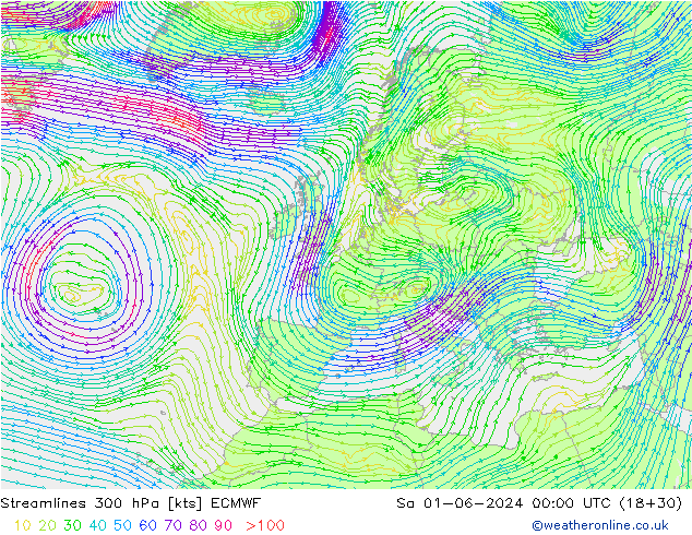 Streamlines 300 hPa ECMWF Sa 01.06.2024 00 UTC