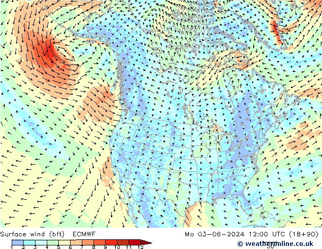 Surface wind (bft) ECMWF Mo 03.06.2024 12 UTC