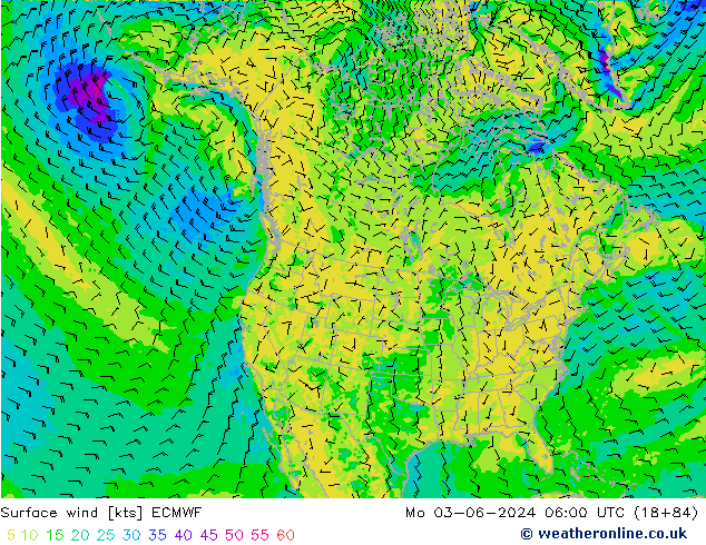  10 m ECMWF  03.06.2024 06 UTC