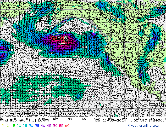 Rüzgar 950 hPa ECMWF Pzt 03.06.2024 12 UTC