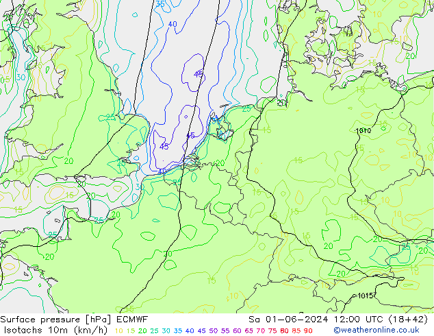 Izotacha (km/godz) ECMWF so. 01.06.2024 12 UTC