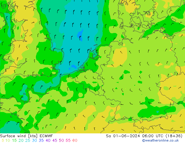 ветер 10 m ECMWF сб 01.06.2024 06 UTC