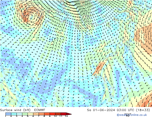 Surface wind (bft) ECMWF Sa 01.06.2024 03 UTC
