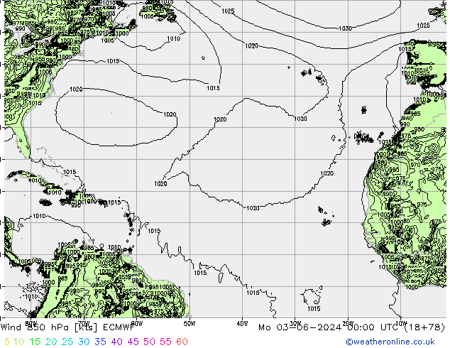 wiatr 850 hPa ECMWF pon. 03.06.2024 00 UTC