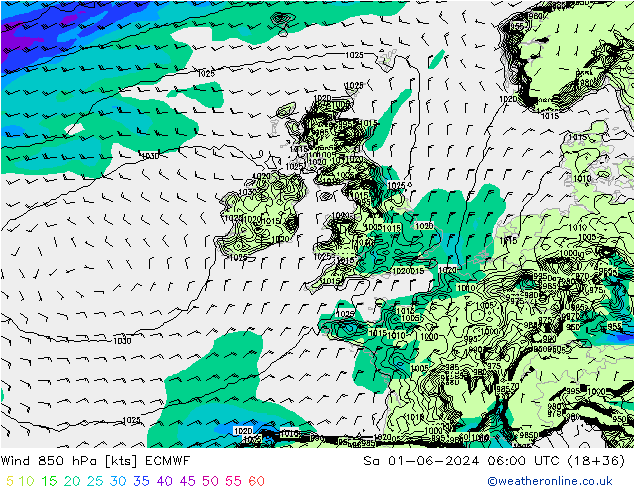 Vento 850 hPa ECMWF sab 01.06.2024 06 UTC