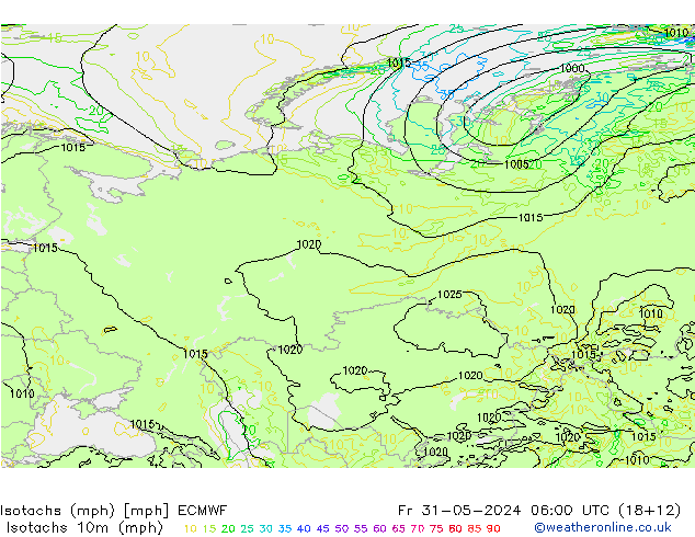   31.05.2024 06 UTC