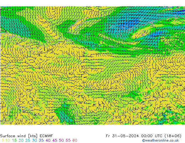 Surface wind ECMWF Fr 31.05.2024 00 UTC