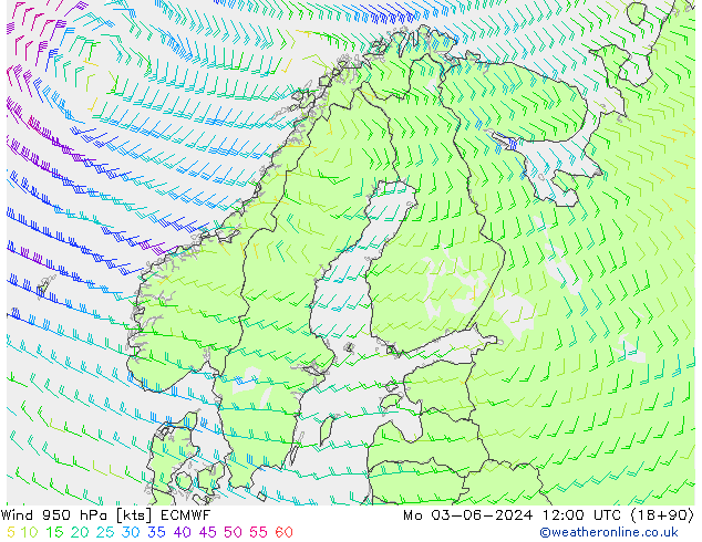 Wind 950 hPa ECMWF Mo 03.06.2024 12 UTC