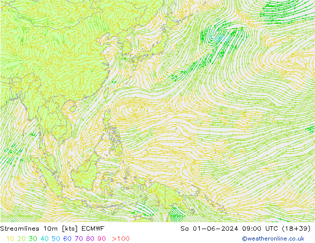 Streamlines 10m ECMWF Sa 01.06.2024 09 UTC