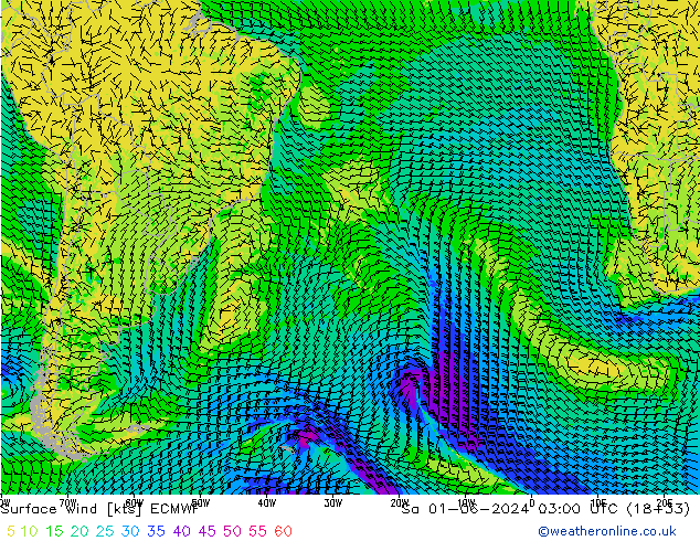 Rüzgar 10 m ECMWF Cts 01.06.2024 03 UTC