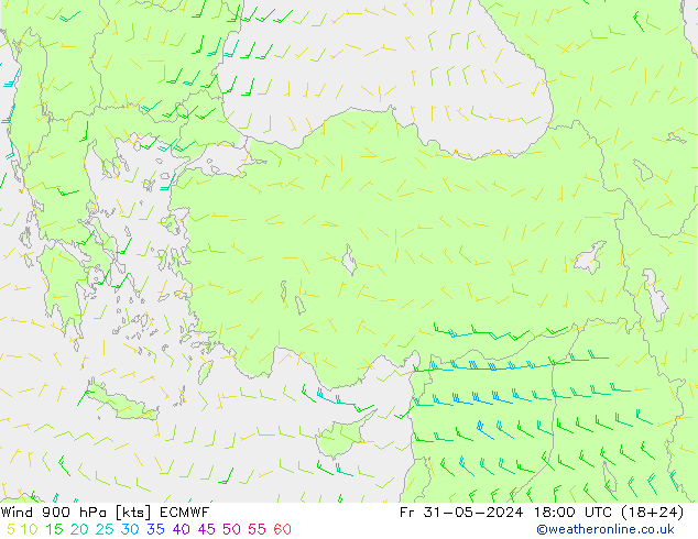 Vento 900 hPa ECMWF ven 31.05.2024 18 UTC