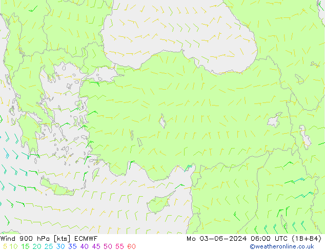 ветер 900 гПа ECMWF пн 03.06.2024 06 UTC