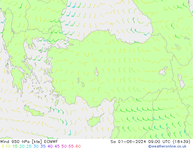 wiatr 950 hPa ECMWF so. 01.06.2024 09 UTC