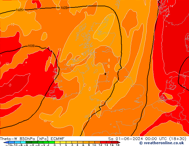 Theta-W 850hPa ECMWF  01.06.2024 00 UTC