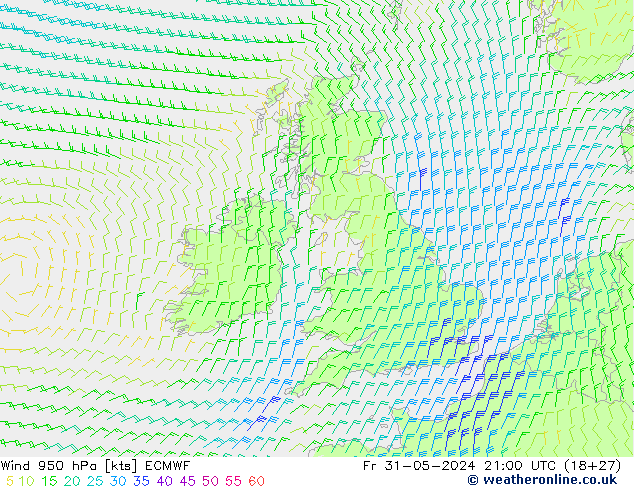 Wind 950 hPa ECMWF Fr 31.05.2024 21 UTC