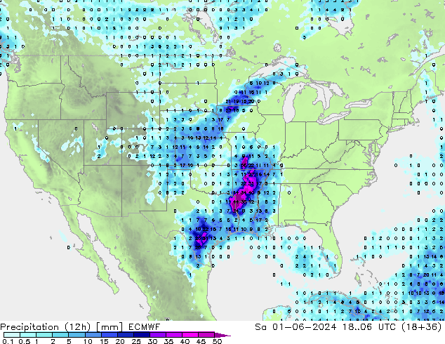 Precipitazione (12h) ECMWF sab 01.06.2024 06 UTC