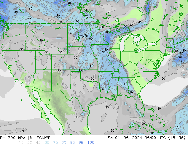 RH 700 hPa ECMWF  01.06.2024 06 UTC