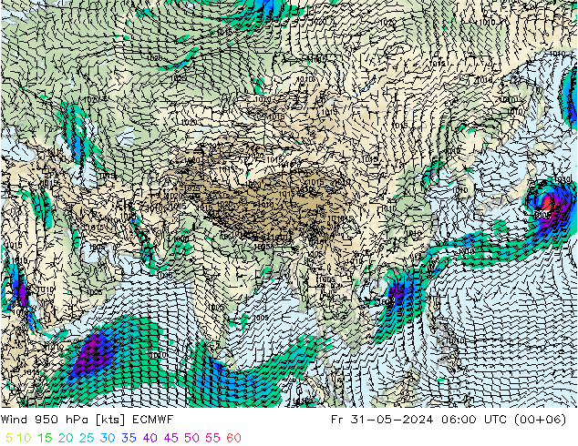 Prec 6h/Wind 10m/950 ECMWF Fr 31.05.2024 06 UTC