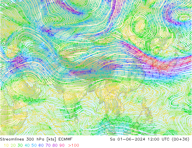 Línea de corriente 300 hPa ECMWF sáb 01.06.2024 12 UTC