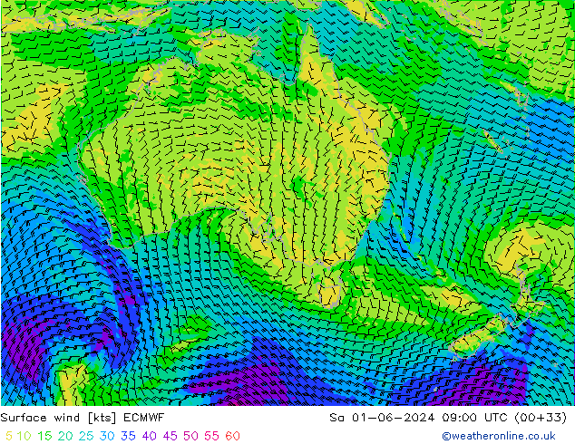Surface wind ECMWF So 01.06.2024 09 UTC