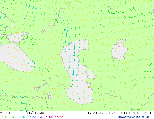 Wind 850 hPa ECMWF vr 31.05.2024 00 UTC