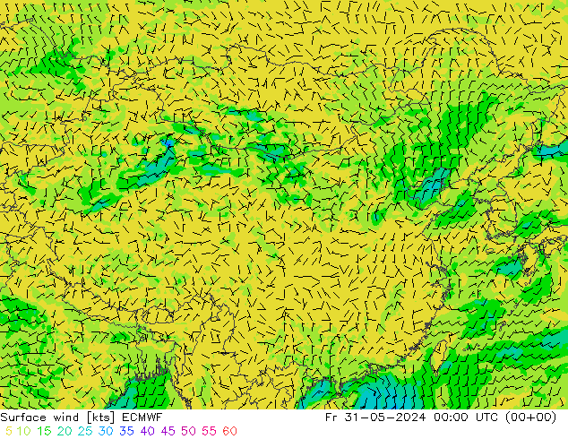 风 10 米 ECMWF 星期五 31.05.2024 00 UTC