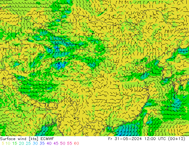 Bodenwind ECMWF Fr 31.05.2024 12 UTC