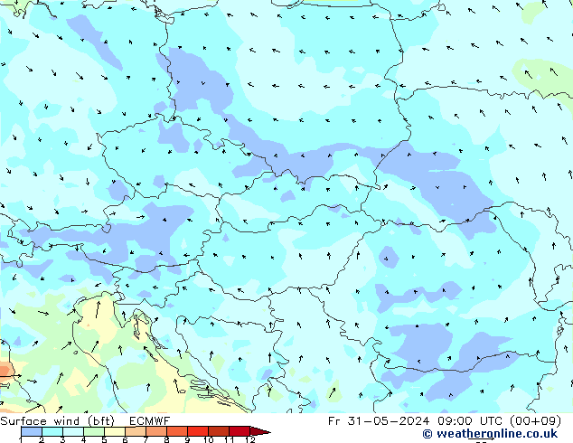  10 m (bft) ECMWF  31.05.2024 09 UTC