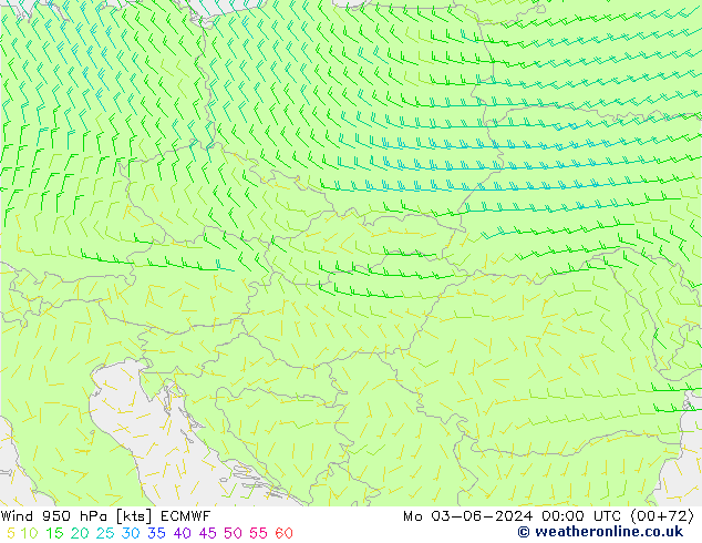 Wind 950 hPa ECMWF Po 03.06.2024 00 UTC