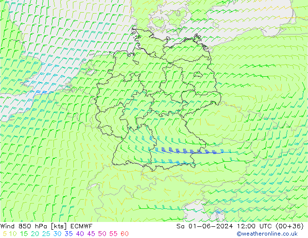 Viento 850 hPa ECMWF sáb 01.06.2024 12 UTC