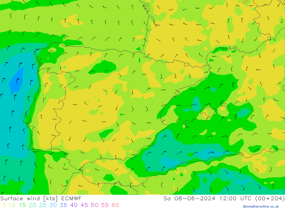 ветер 10 m ECMWF сб 08.06.2024 12 UTC