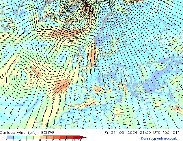  10 m (bft) ECMWF  31.05.2024 21 UTC