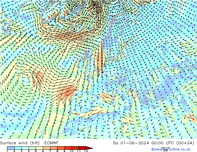 Bodenwind (bft) ECMWF Sa 01.06.2024 00 UTC