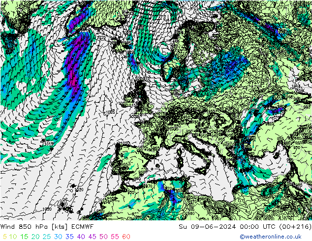 Wind 850 hPa ECMWF So 09.06.2024 00 UTC