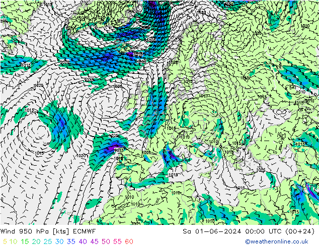 ветер 950 гПа ECMWF сб 01.06.2024 00 UTC