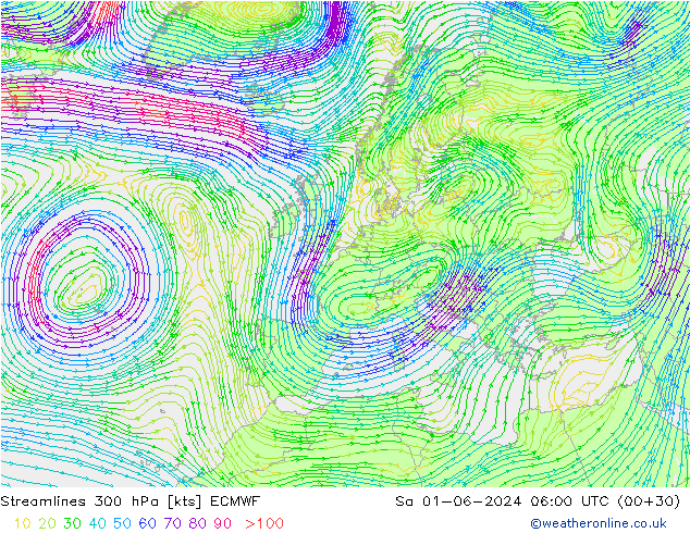 ветер 300 гПа ECMWF сб 01.06.2024 06 UTC