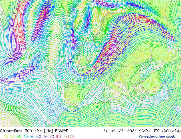 Stromlinien 300 hPa ECMWF So 09.06.2024 00 UTC