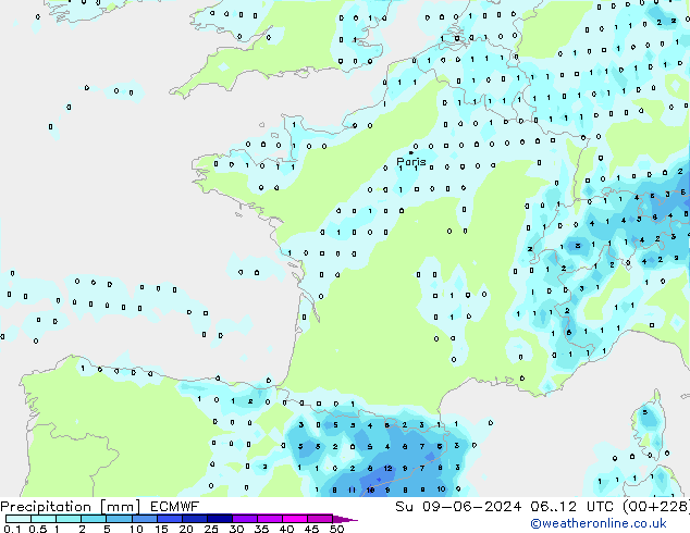 осадки ECMWF Вс 09.06.2024 12 UTC