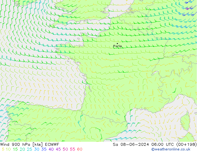 ветер 900 гПа ECMWF сб 08.06.2024 06 UTC