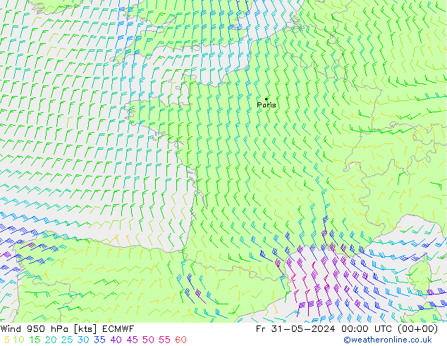  950 hPa ECMWF  31.05.2024 00 UTC