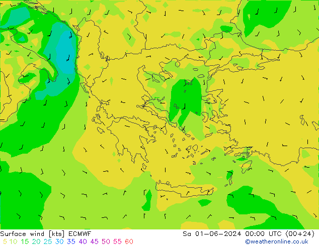 Viento 10 m ECMWF sáb 01.06.2024 00 UTC