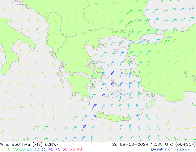 Wind 950 hPa ECMWF Sa 08.06.2024 12 UTC