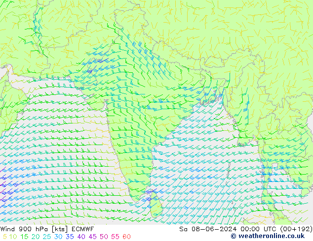 Wind 900 hPa ECMWF Sa 08.06.2024 00 UTC