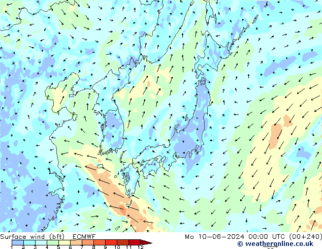  10 m (bft) ECMWF  10.06.2024 00 UTC