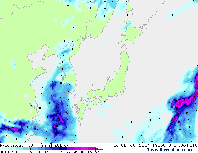 Z500/Rain (+SLP)/Z850 ECMWF So 09.06.2024 00 UTC