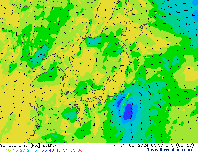 Surface wind ECMWF Fr 31.05.2024 00 UTC