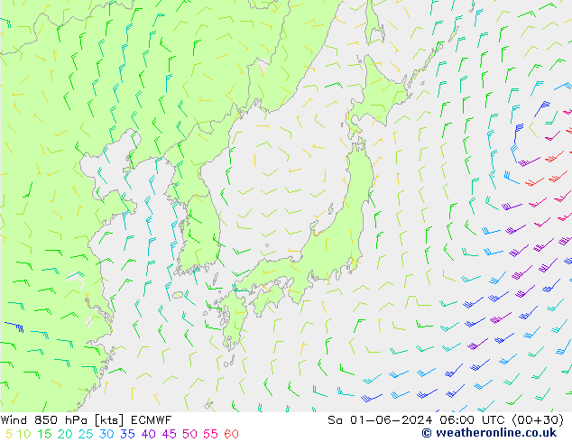 Wind 850 hPa ECMWF za 01.06.2024 06 UTC