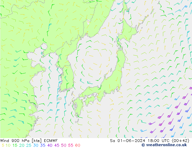 Wind 900 hPa ECMWF Sa 01.06.2024 18 UTC